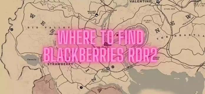 Where To Find Blackberries Rdr2