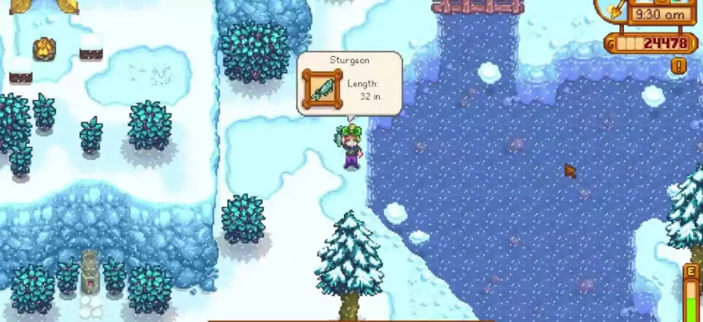 How to Catch a Sturgeon Fish in Stardew Valley